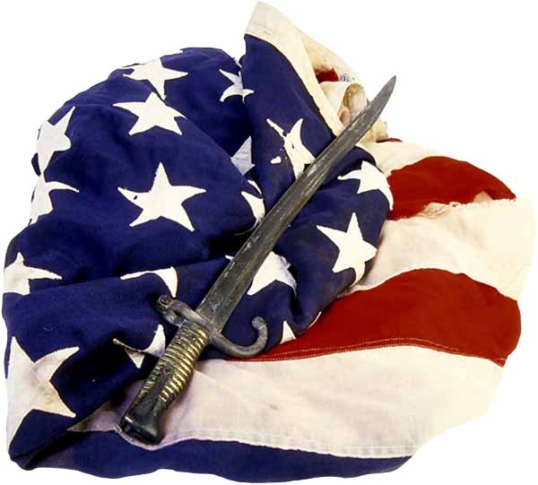 USA 1und1 Freewaregrafik