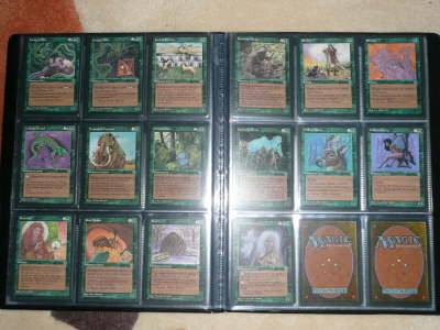 Magic Homelands m-nm (5)