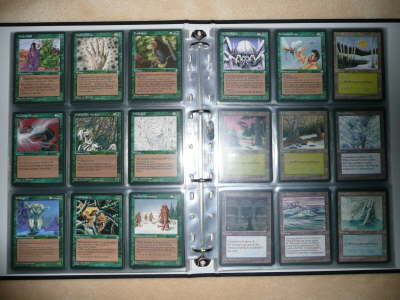 Magic Ice Age nm-ex (14)