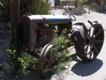 Mutze_Harley_USA_2007_0347