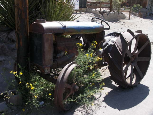 Mutze_Harley_USA_2007_0347