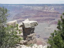 Mutze_Harley_USA_2007_0509