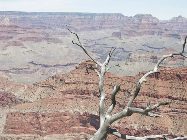 Mutze_Harley_USA_2007_0527