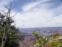 Mutze_Harley_USA_2007_0546