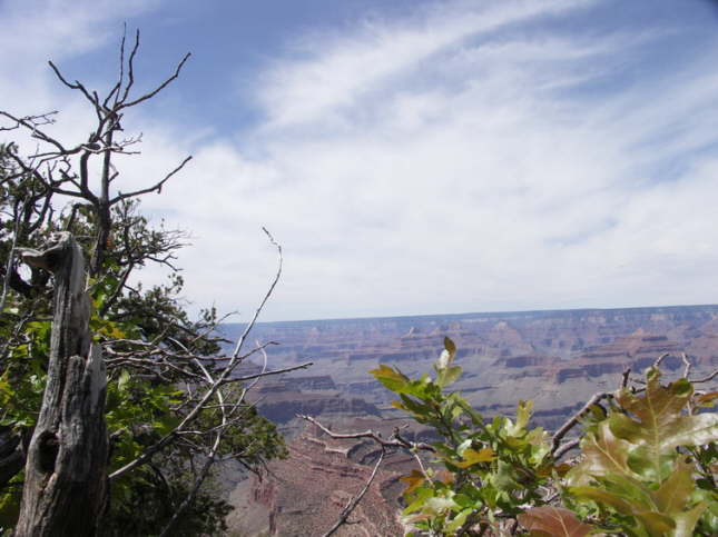 Mutze_Harley_USA_2007_0546