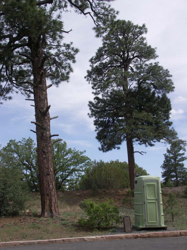 Mutze_Harley_USA_2007_0550