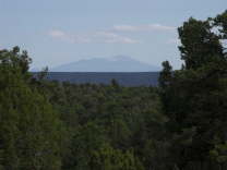 Mutze_Harley_USA_2007_0568