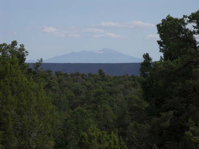 Mutze_Harley_USA_2007_0568