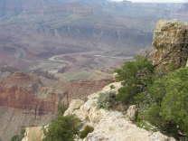 Mutze_Harley_USA_2007_0587