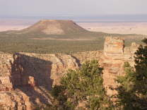 Mutze_Harley_USA_2007_0619