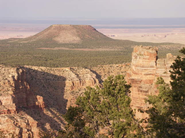 Mutze_Harley_USA_2007_0619