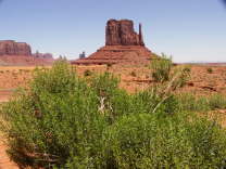 Mutze_Harley_USA_2007_0687