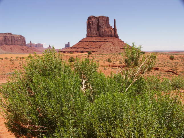 Mutze_Harley_USA_2007_0687