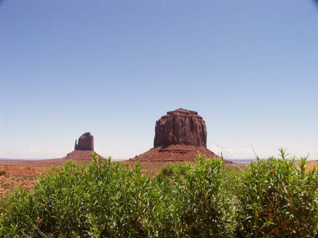 Mutze_Harley_USA_2007_0688