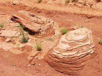 Mutze_Harley_USA_2007_0767