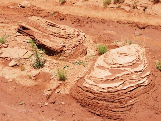 Mutze_Harley_USA_2007_0767