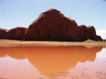 Mutze_Harley_USA_2007_0777