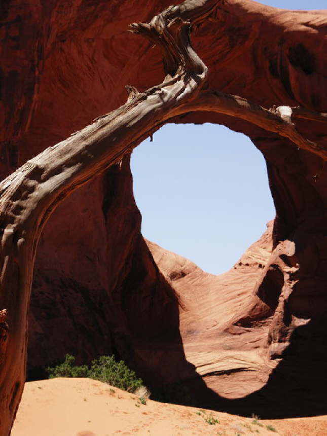 Mutze_Harley_USA_2007_0785