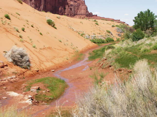 Mutze_Harley_USA_2007_0812