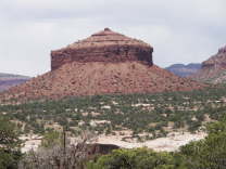 Mutze_Harley_USA_2007_0878