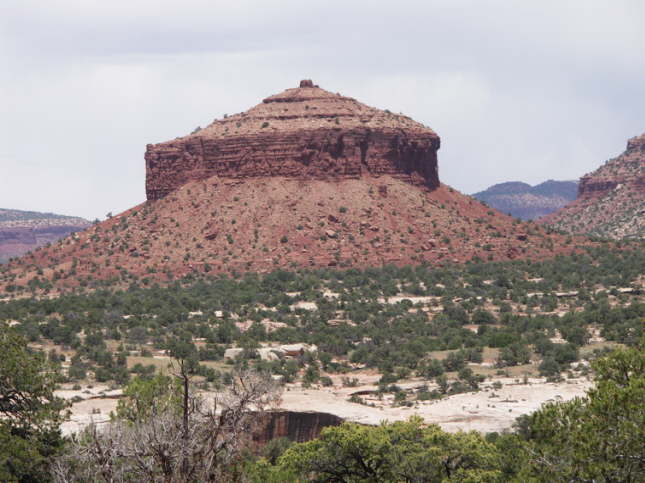 Mutze_Harley_USA_2007_0878