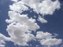 Mutze_Harley_USA_2007_1003