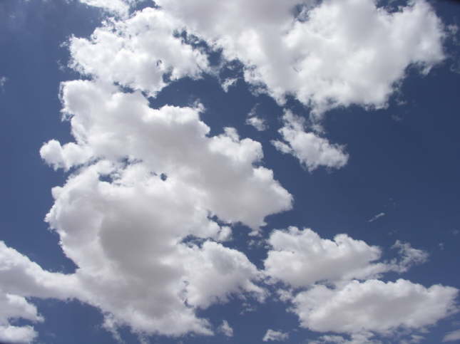 Mutze_Harley_USA_2007_1003