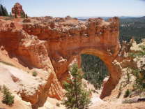 Mutze_Harley_USA_2007_1104