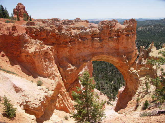 Mutze_Harley_USA_2007_1104