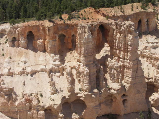 Mutze_Harley_USA_2007_1112