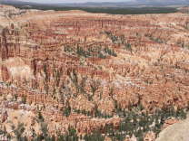 Mutze_Harley_USA_2007_1121