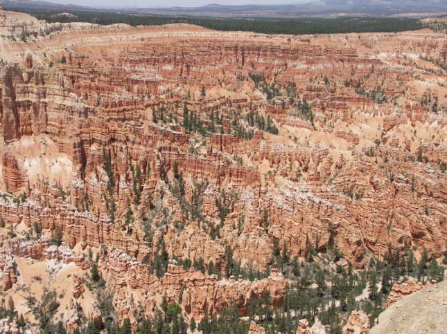 Mutze_Harley_USA_2007_1121