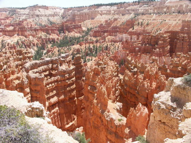 Mutze_Harley_USA_2007_1153