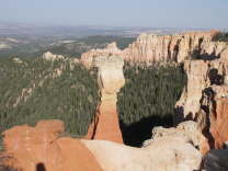 Mutze_Harley_USA_2007_1192