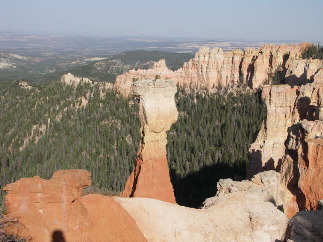 Mutze_Harley_USA_2007_1192