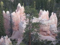 Mutze_Harley_USA_2007_1230