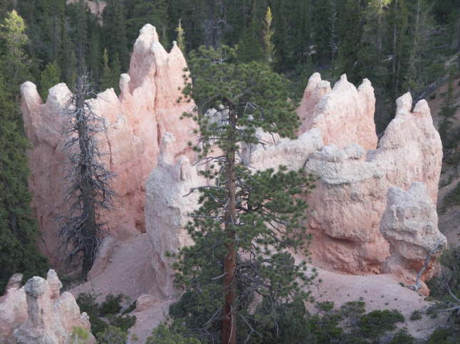 Mutze_Harley_USA_2007_1230