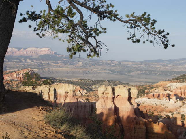 Mutze_Harley_USA_2007_1242