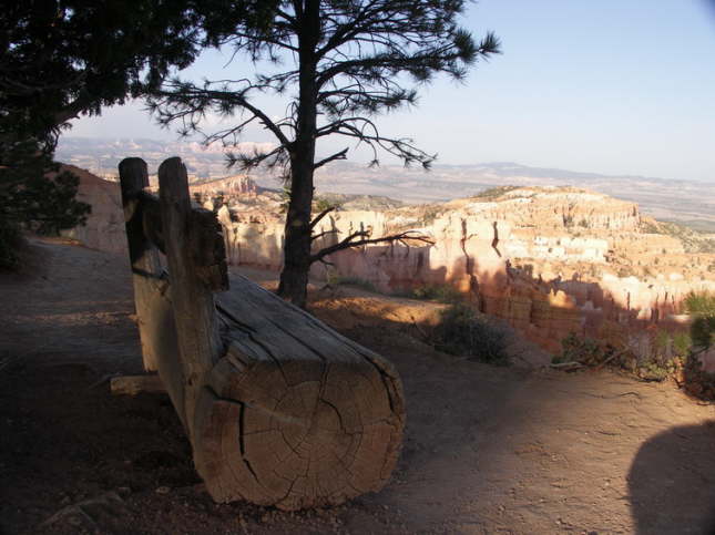 Mutze_Harley_USA_2007_1248