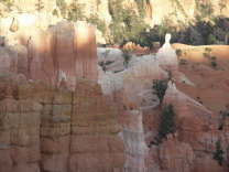 Mutze_Harley_USA_2007_1267