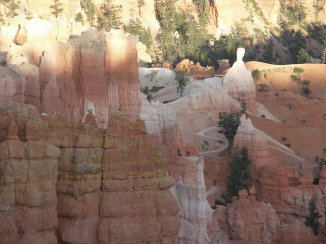 Mutze_Harley_USA_2007_1267