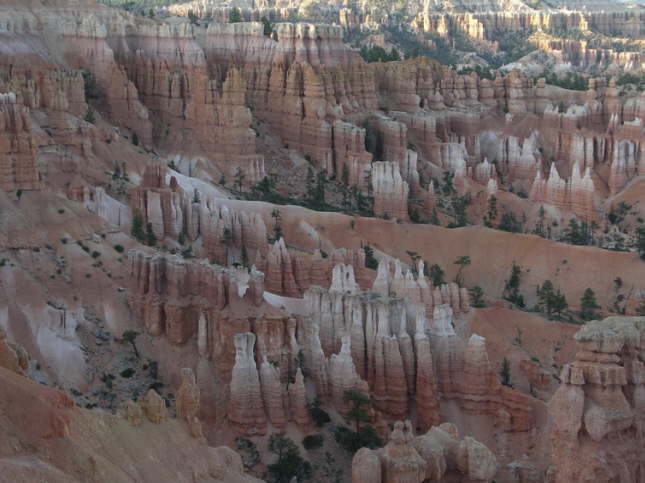 Mutze_Harley_USA_2007_1276