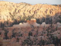 Mutze_Harley_USA_2007_1298