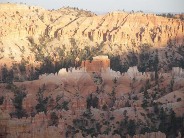 Mutze_Harley_USA_2007_1298