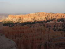 Mutze_Harley_USA_2007_1301