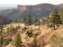 Mutze_Harley_USA_2007_1313