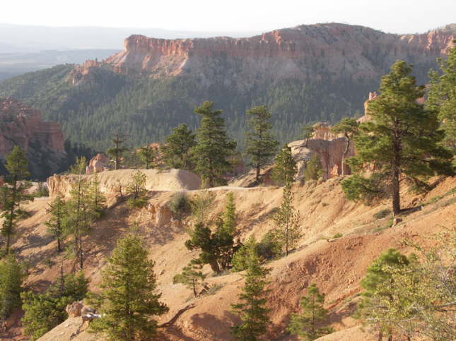 Mutze_Harley_USA_2007_1313