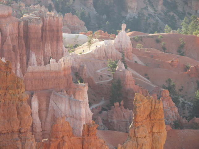 Mutze_Harley_USA_2007_1338