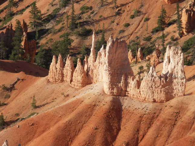 Mutze_Harley_USA_2007_1343