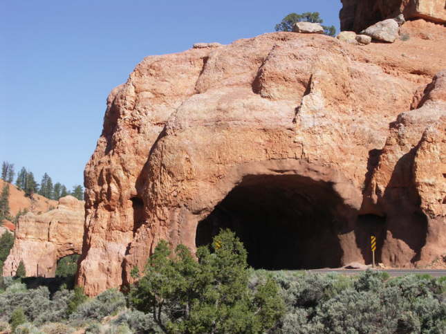 Mutze_Harley_USA_2007_1356